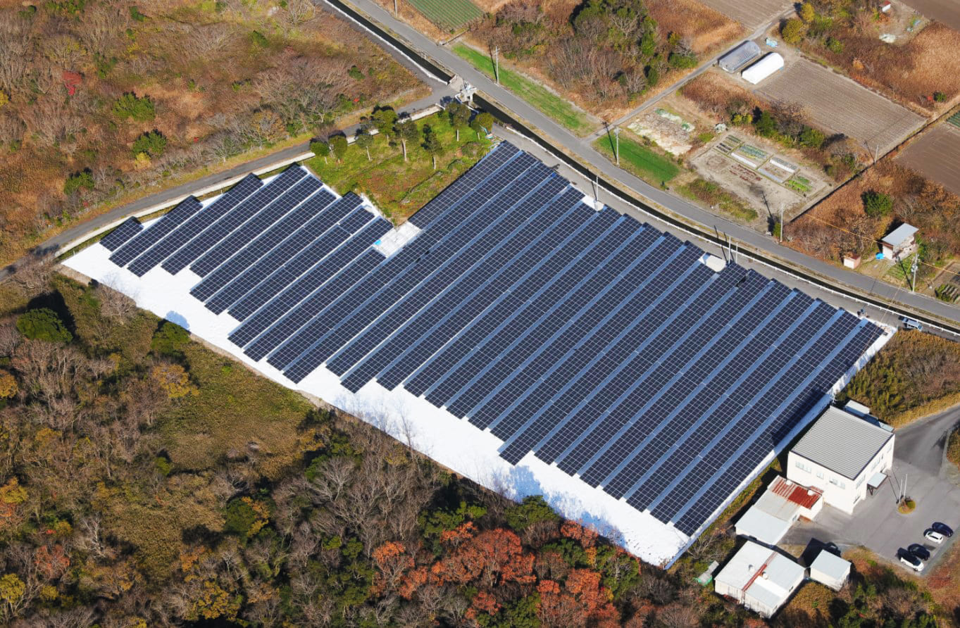 企業の屋根に設置された太陽光パネル